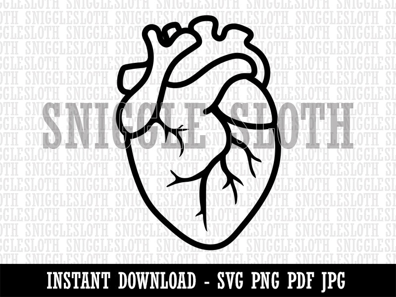 Realistic Human Heart Clipart Digital Download SVG PNG JPG PDF Cut Files